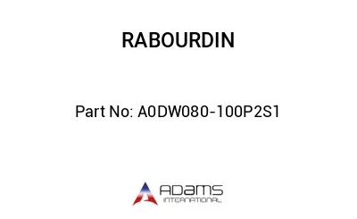 A0DW080-100P2S1