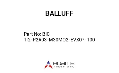 BIC 1I2-P2A03-M30MO2-EVX07-100									