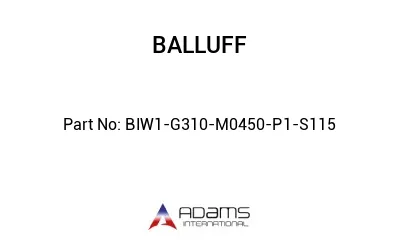 BIW1-G310-M0450-P1-S115									
