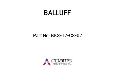 BKS-12-CS-02									