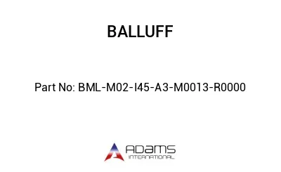 BML-M02-I45-A3-M0013-R0000									