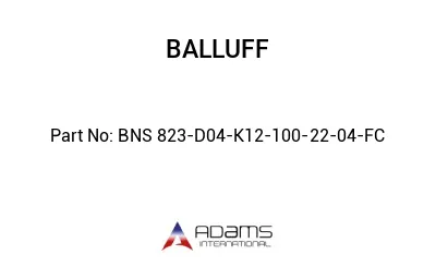 BNS 823-D04-K12-100-22-04-FC									