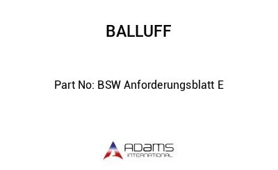 BSW Anforderungsblatt E									